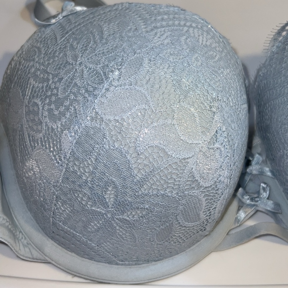 Lane Bryant Bra - Picture 2 of 6